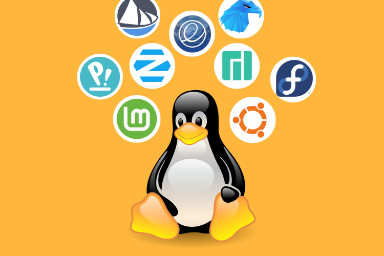 LINUX BASICO